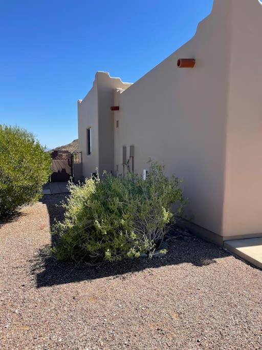 Tucson Mnt Foothills Saguaro Bliss Βίλα Εξωτερικό φωτογραφία