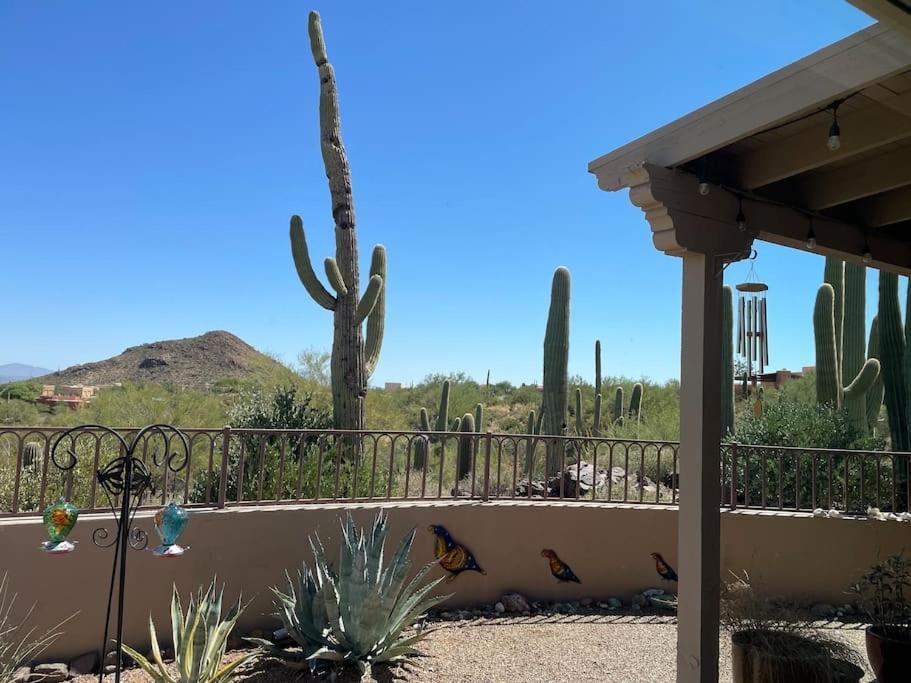 Tucson Mnt Foothills Saguaro Bliss Βίλα Εξωτερικό φωτογραφία