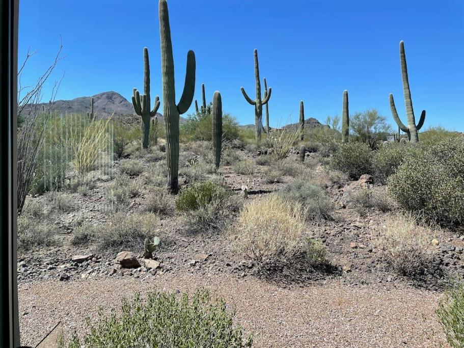 Tucson Mnt Foothills Saguaro Bliss Βίλα Εξωτερικό φωτογραφία