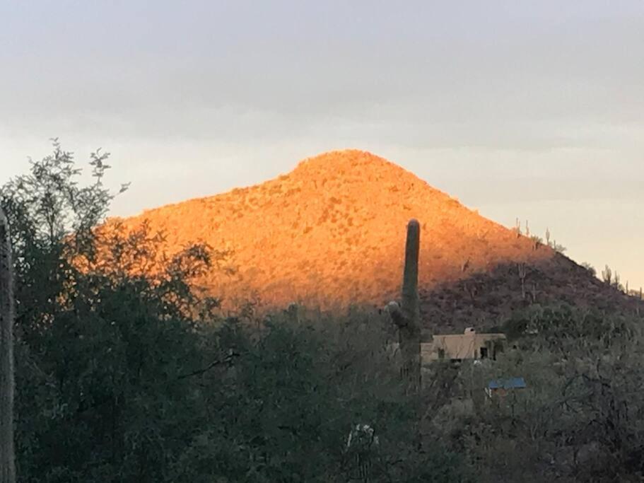 Tucson Mnt Foothills Saguaro Bliss Βίλα Εξωτερικό φωτογραφία