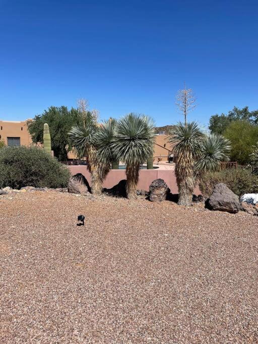 Tucson Mnt Foothills Saguaro Bliss Βίλα Εξωτερικό φωτογραφία