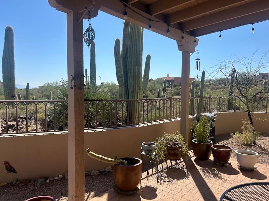 Tucson Mnt Foothills Saguaro Bliss Βίλα Εξωτερικό φωτογραφία